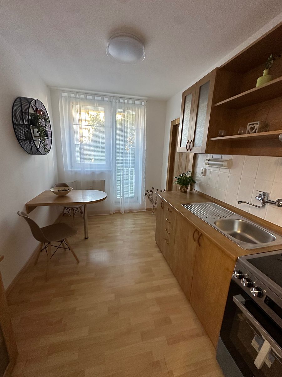 Pronájem bytu 1+1 38 m²