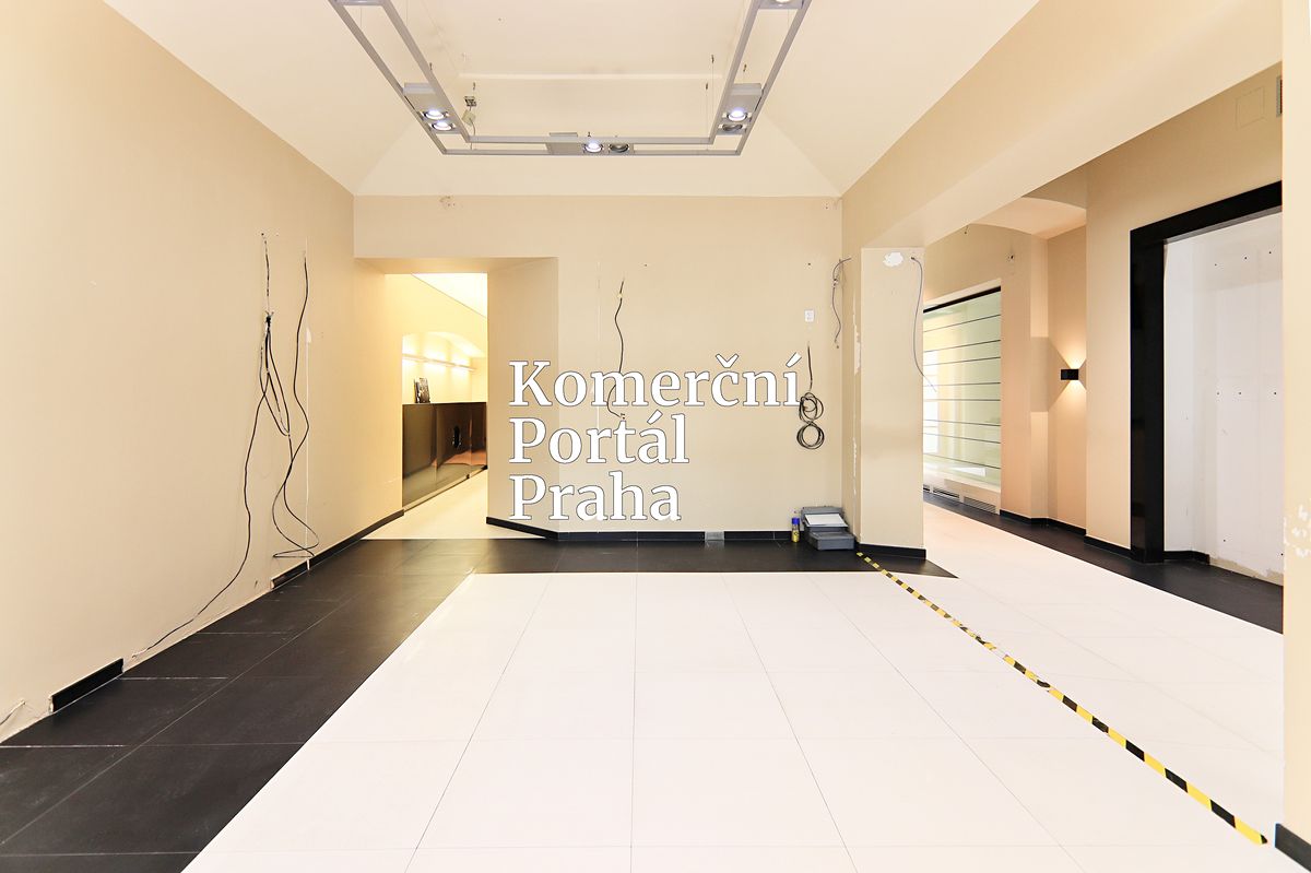 Pronájem obchodního prostoru 367 m² – fotografie 3