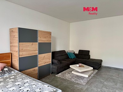 Pronájem bytu 1+1 48 m²