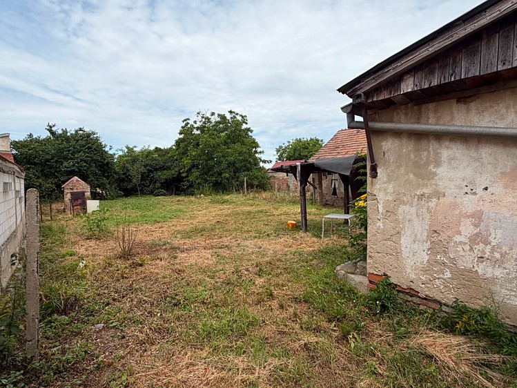 Ostatní