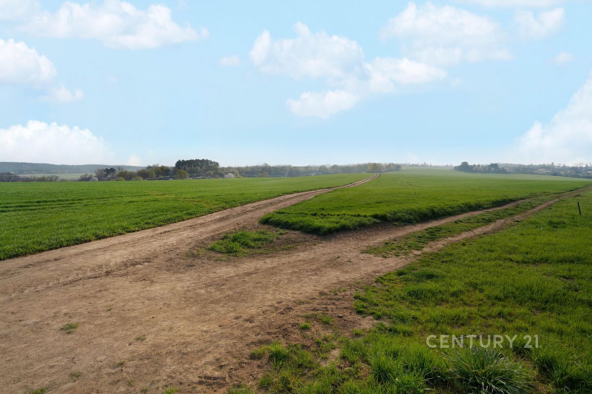 Prodej stavebního pozemku 3119 m² – fotografie 4
