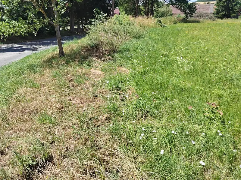 Prodej stavebního pozemku 1350 m², Líšťany – náhled fotky 2