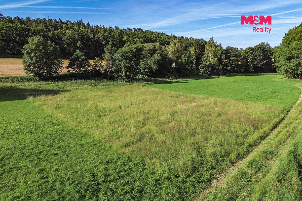 Pronájem louky 3297 m² – fotografie 4