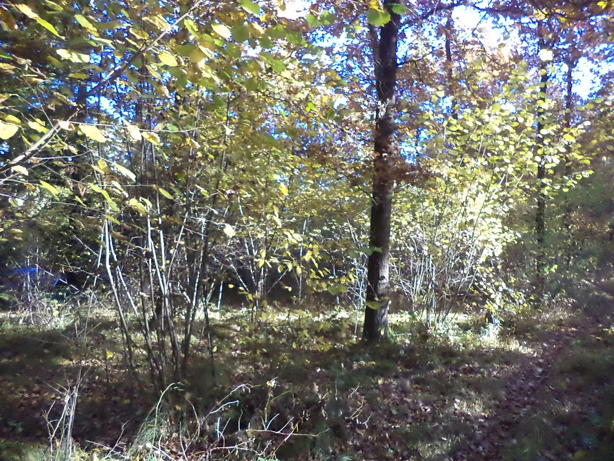Prodej pozemku 2102 m²