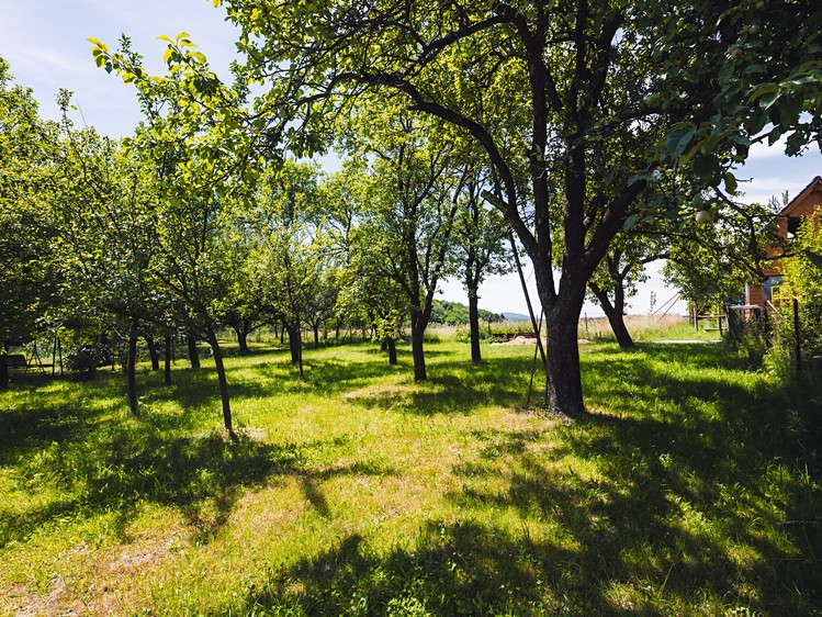 Prodej domu, 130 m² (16 z 20)