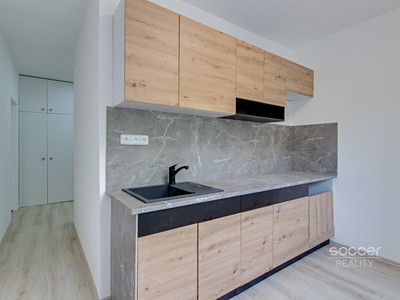 Pronájem bytu 1+1 39 m²