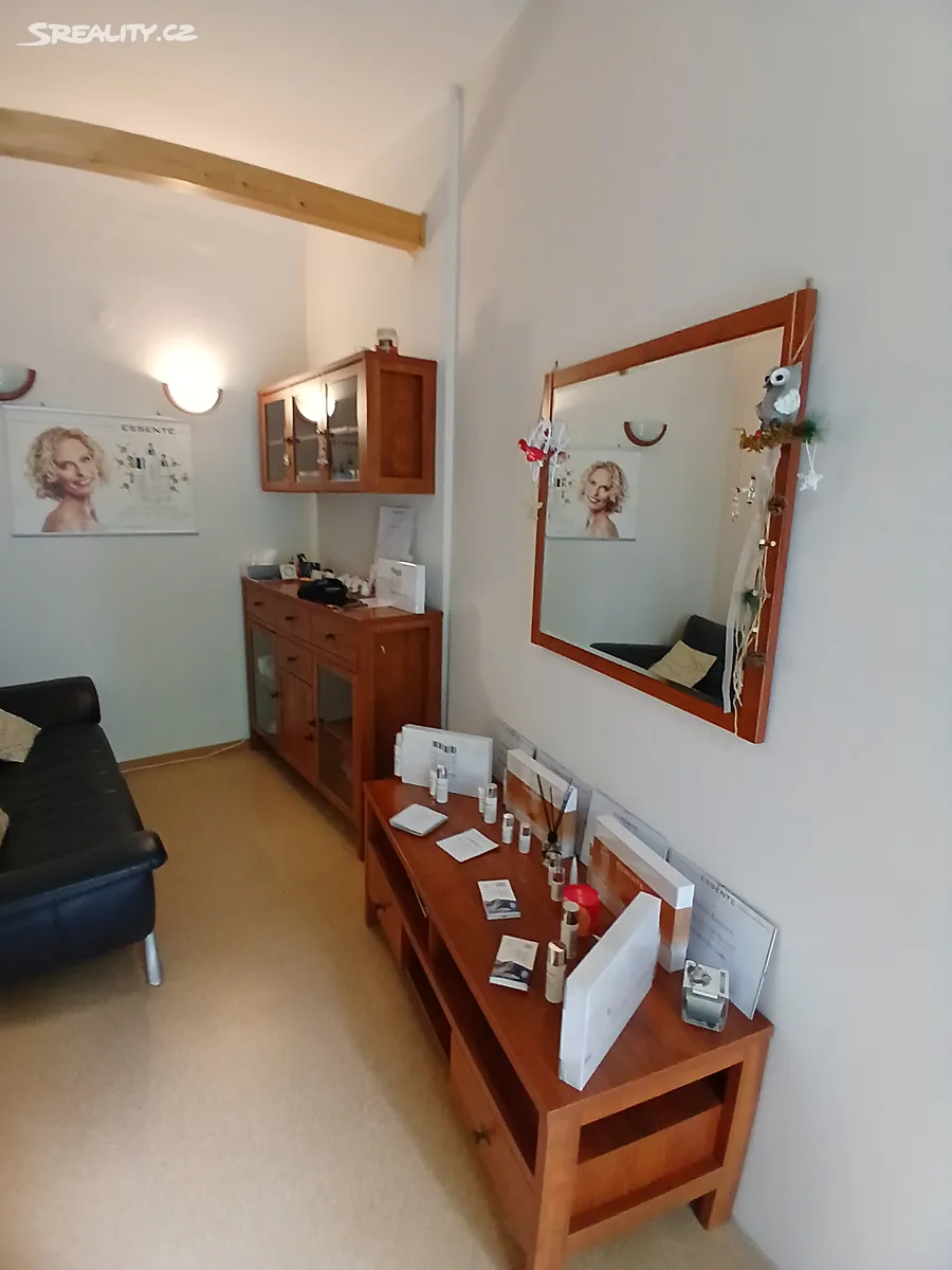 Prodej obchodního prostoru 40 m² – pohled 4