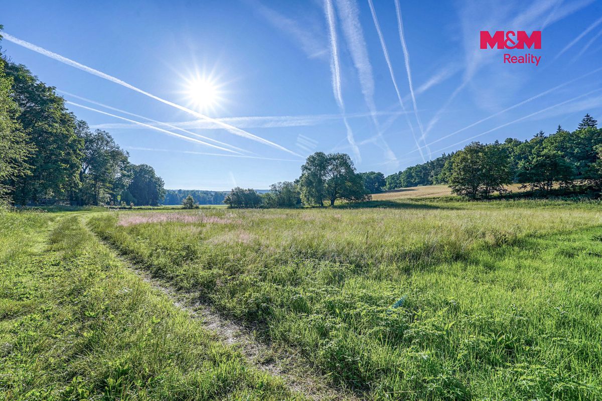 Pronájem louky 3297 m² – fotografie 3