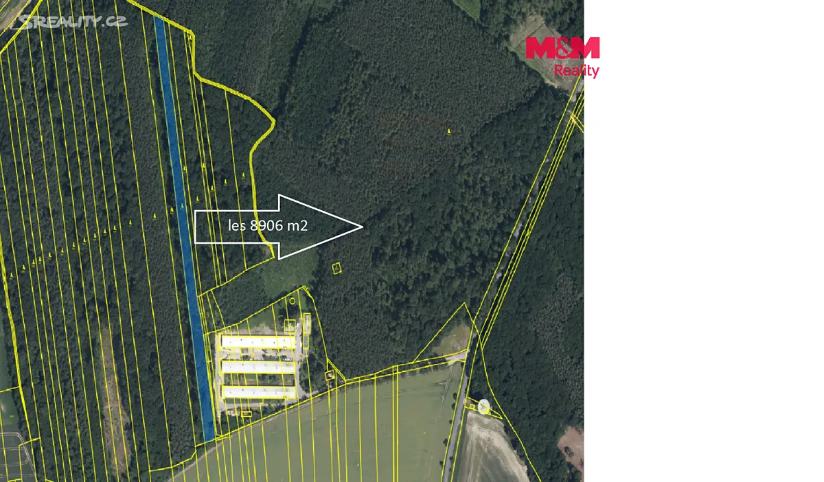 Prodej lesa 8906 m², Městec Králové