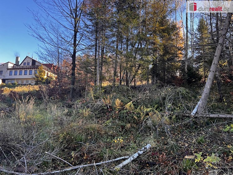Prodej pozemku, 3 129 m² (18 z 18)