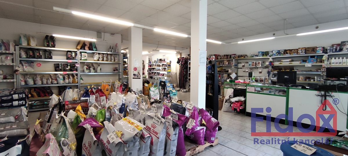 Prodej obchodního prostoru 320 m² – fotografie 3