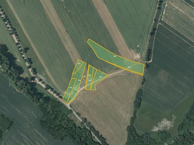 Prodej  pole 24 814 m²