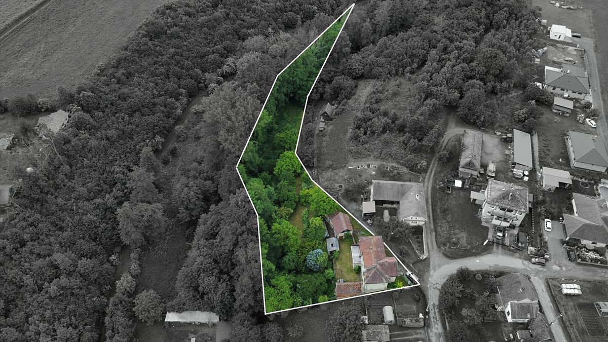 Prodej rodinného domu 150 m², pozemek 3022 m² – fotografie 3