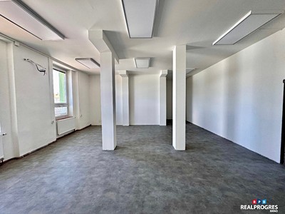 Pronájem komerčního prostoru, 240 m² (3 z 7)