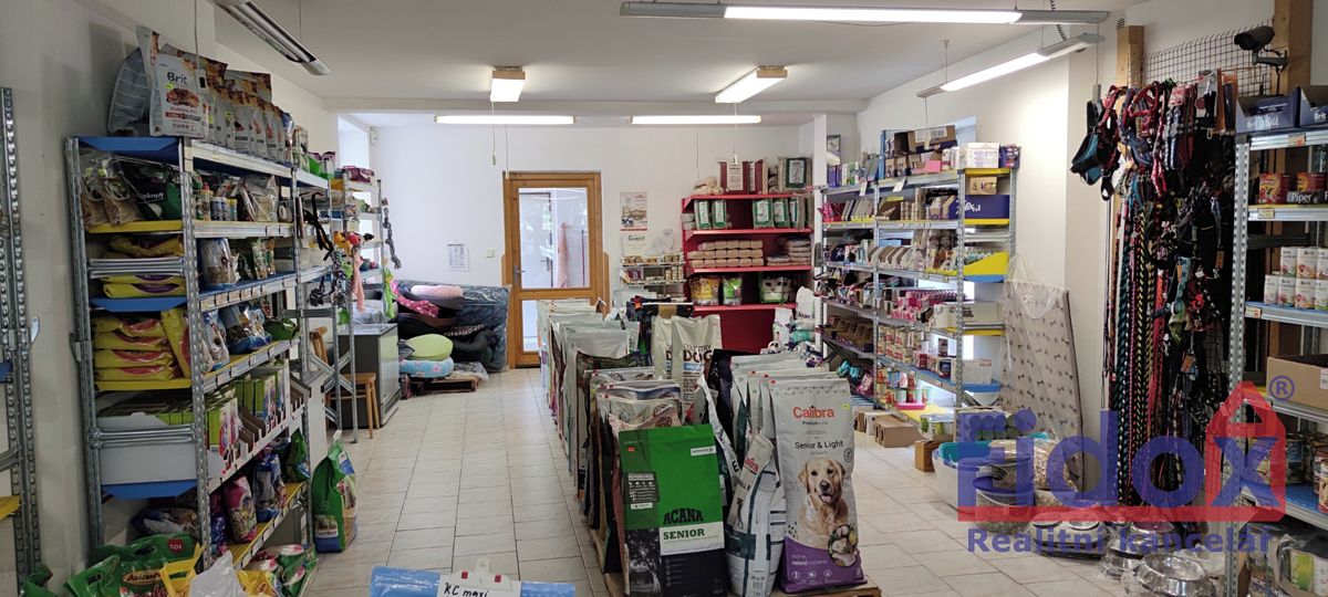 Prodej obchodního prostoru 320 m² – fotografie 4