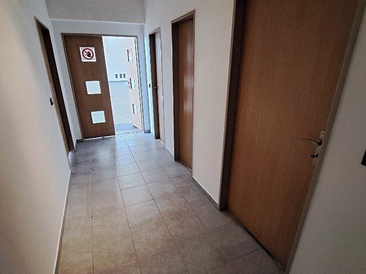 Pronájem komerčního prostoru, 250 m² (12 z 19)