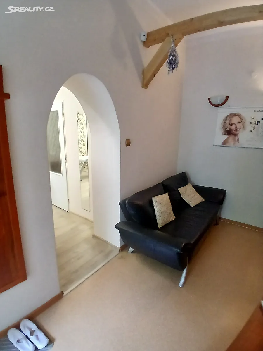 Prodej obchodního prostoru 40 m² – pohled 5