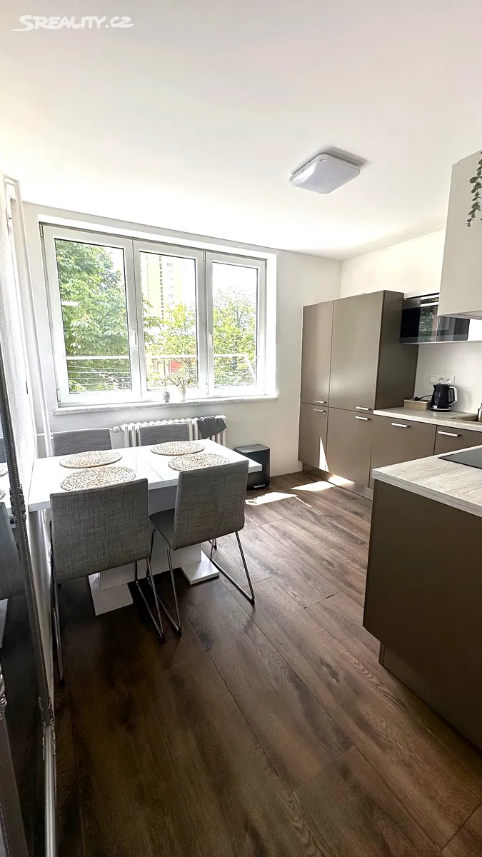 Pronájem bytu 1+1 37 m² - Widok 3