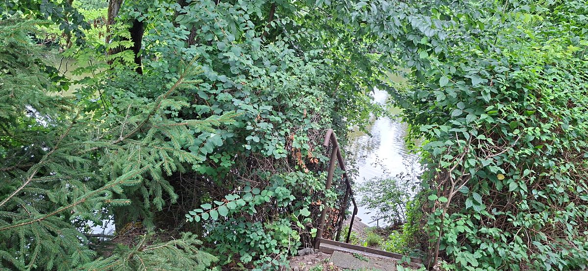Prodej chaty 50 m², pozemek 470 m² – fotografie 5