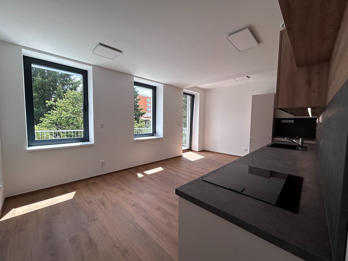 Pronájem bytu 1+kk 48 m²