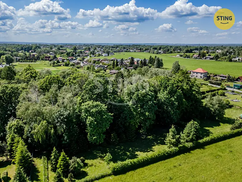 Prodej lesa 1028 m², Orlová – náhled fotky 2