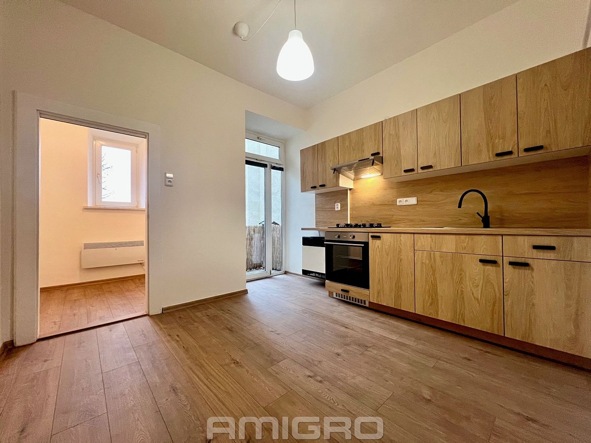 Pronájem bytu 1+1 43 m²
