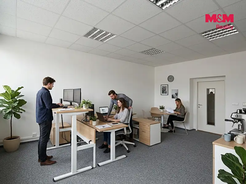 Pronájem kanceláře 28 m², Česká Lípa – náhled fotky 2