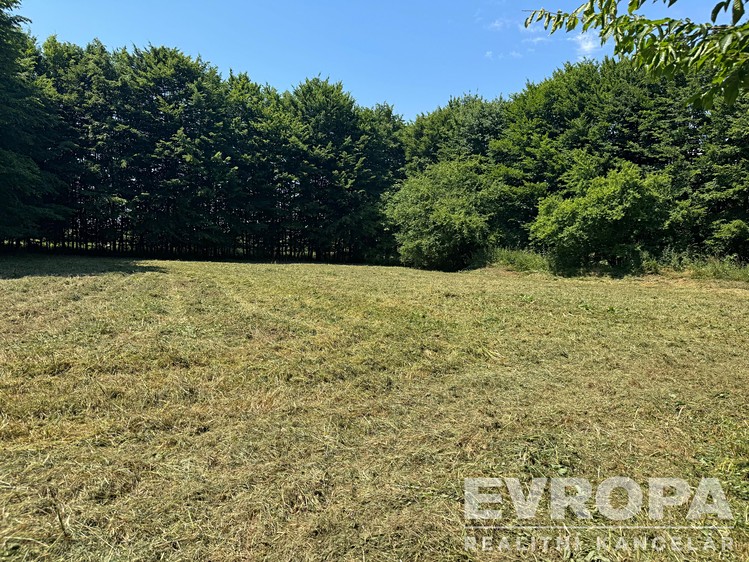 Grundstück zum Kauf, 1.199 m² (9 von 13)