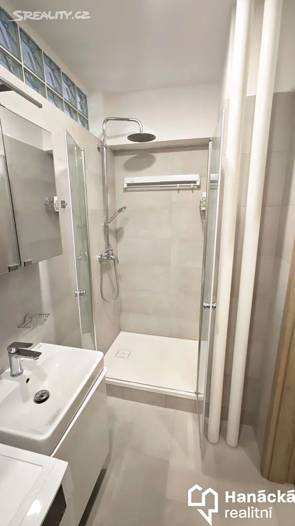 Pronájem bytu 2+1 53 m² – pohled 4