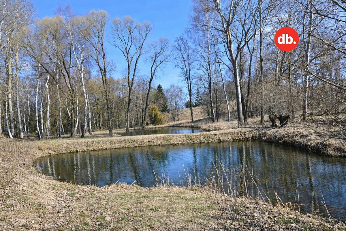Prodej rybníku (vodní plochy) 5506 m² – fotografie 5