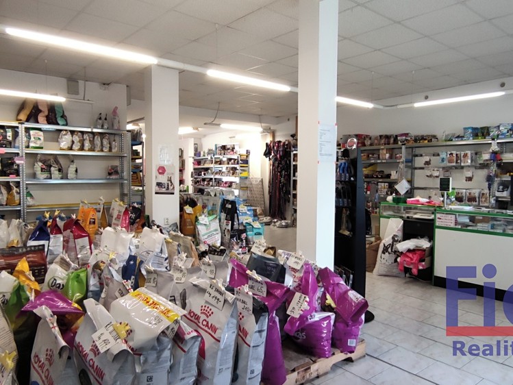 Prodej domu, 320 m² (3 z 17)