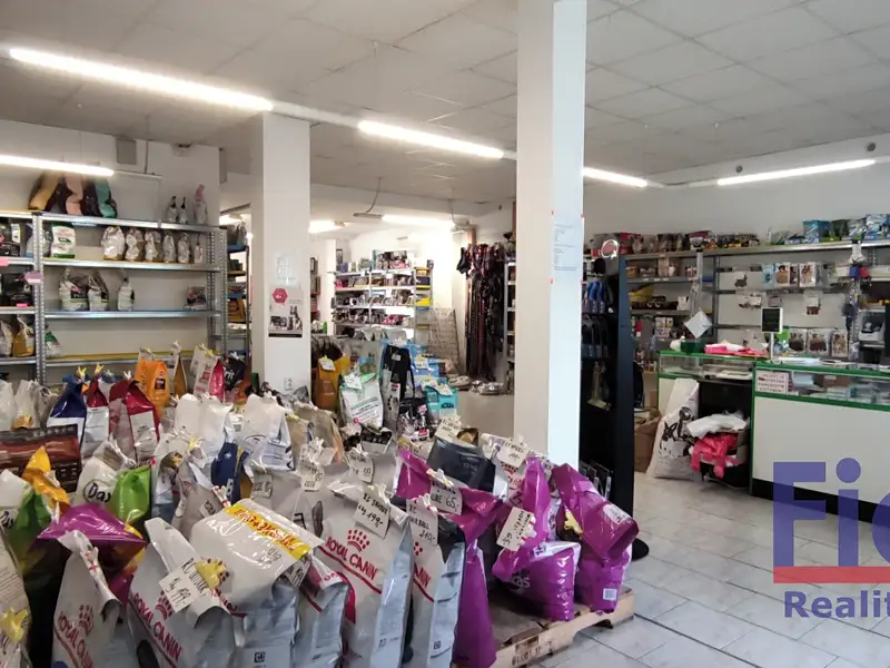 Prodej rodinného domu 320 m², pozemek 348 m², Klatovy – náhled fotky 3