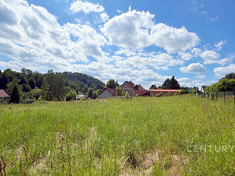 Prodej pozemku, 2 078 m² (9 z 19)