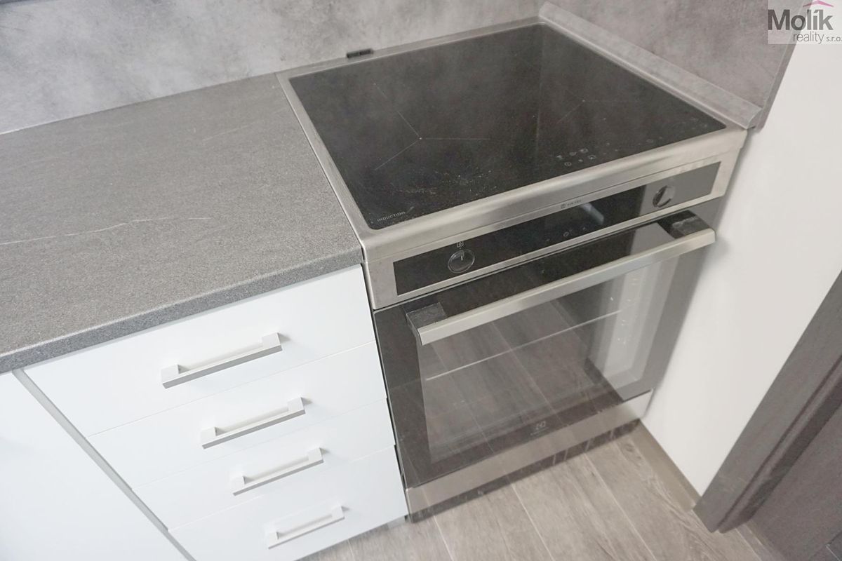 Pronájem bytu 3+kk 75 m² – fotografie 4