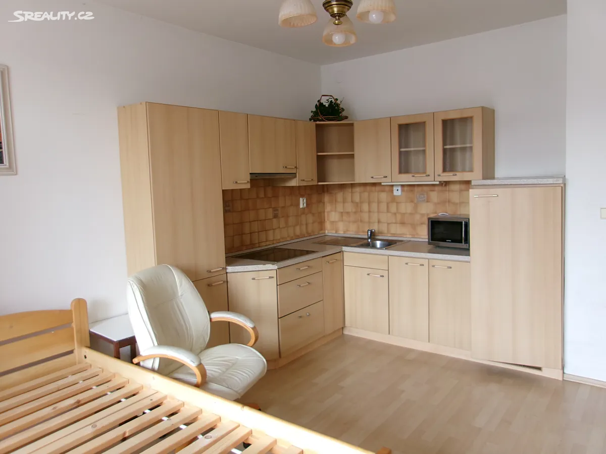 Pronájem bytu 1+kk 40 m² – pohled 3