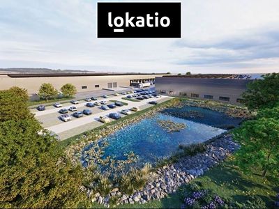 Pronájem výrobní haly, prostoru 7934 m²