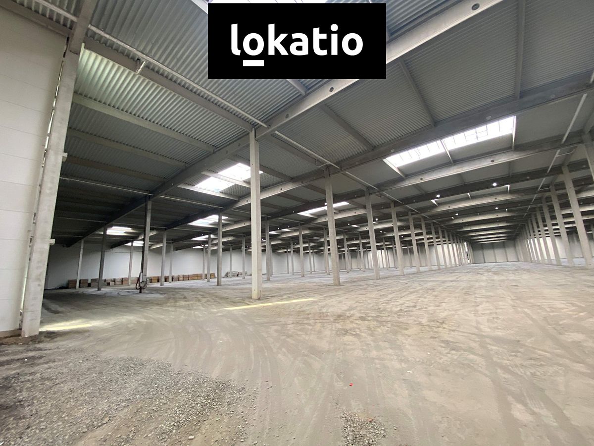 Pronájem skladového prostoru 3404 m² – fotografie 3