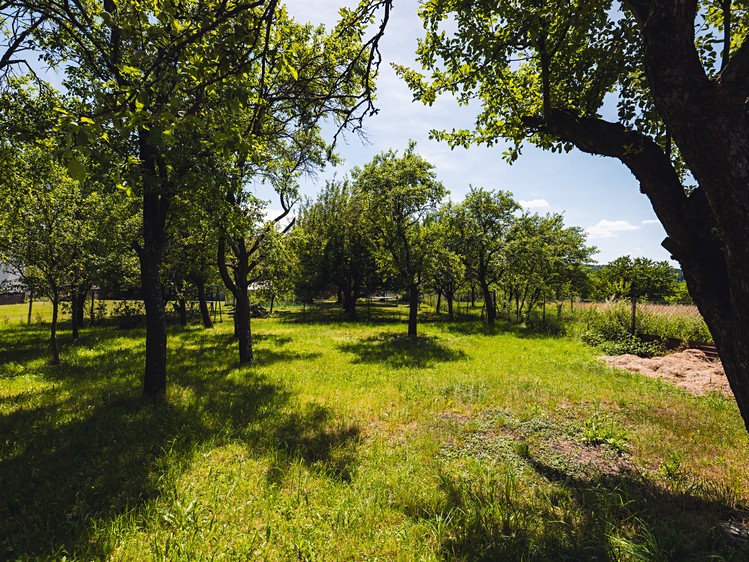 Prodej domu, 130 m² (17 z 20)