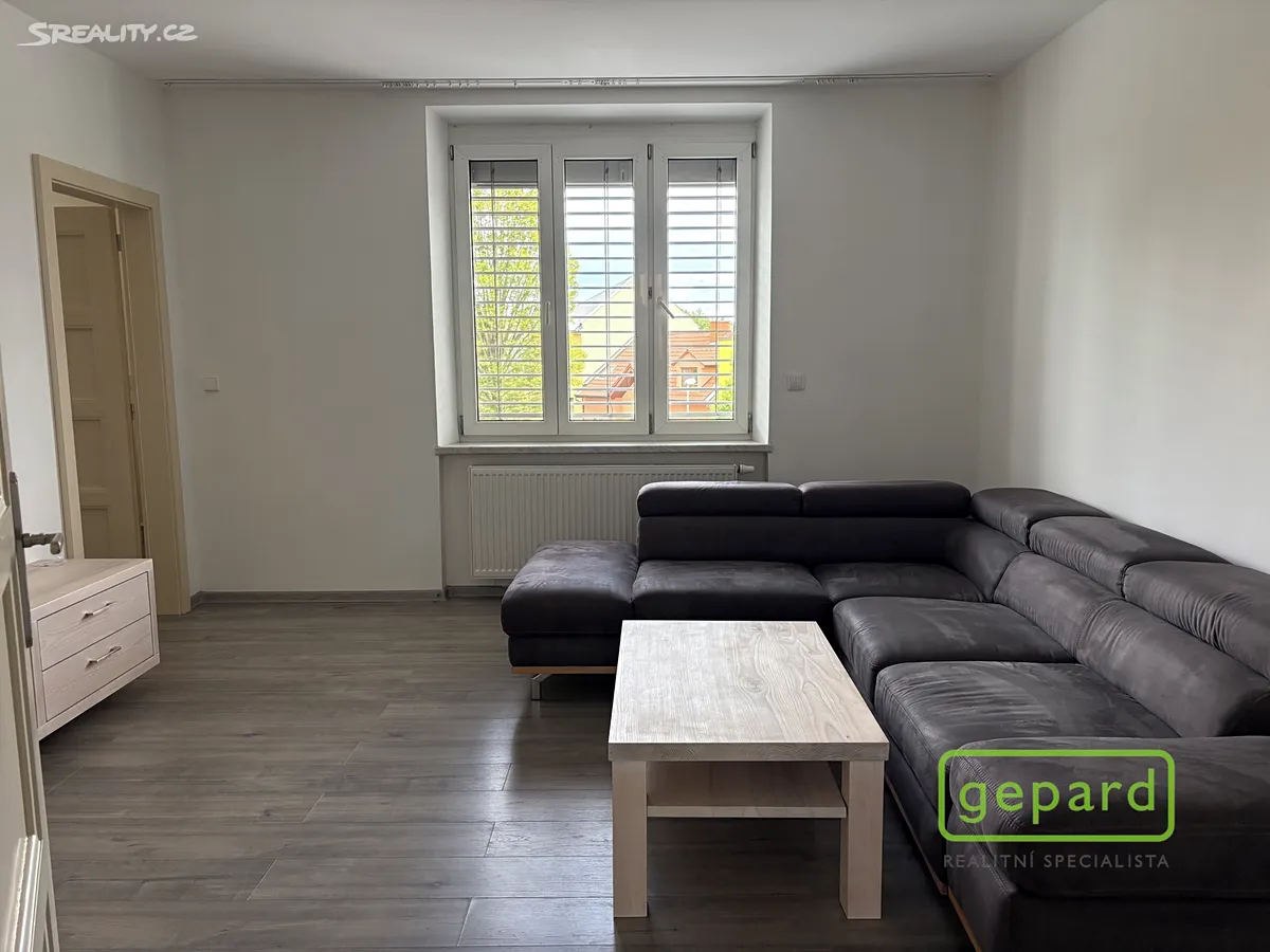 Pronájem bytu 2+1 60 m² - Widok 2