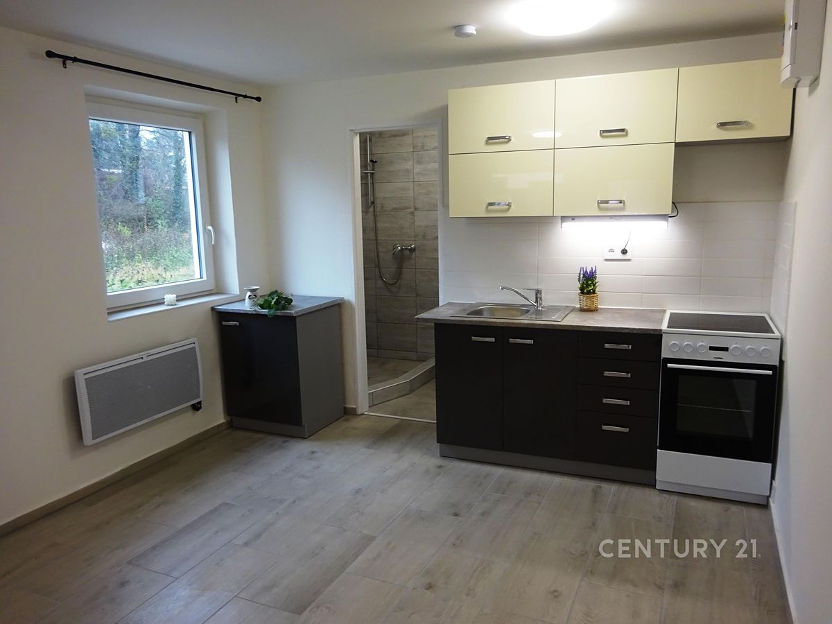 Pronájem bytu 1+kk 26 m²