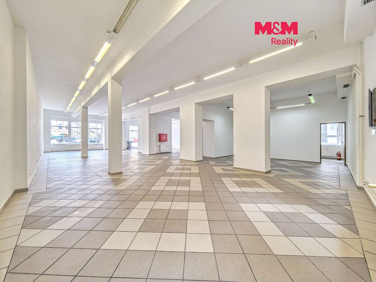Pronájem obchodního prostoru 207 m²