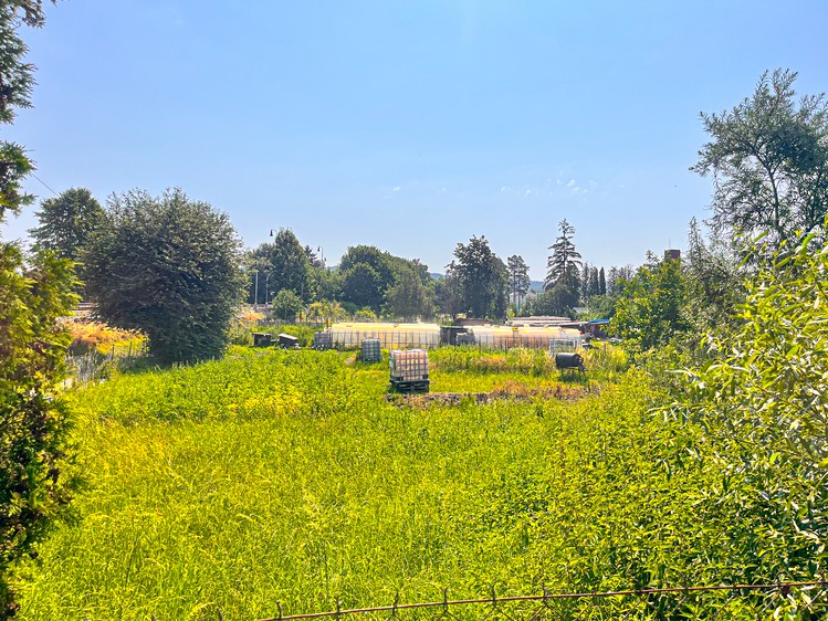 Pronájem pozemku, 500 m² (6 z 17)
