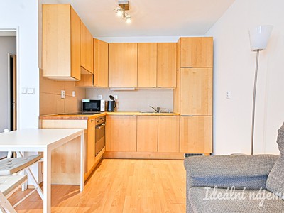 Pronájem bytu 1+kk 38 m²
