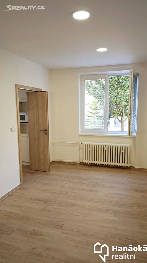 Pronájem bytu 2+1 53 m² – pohled 3