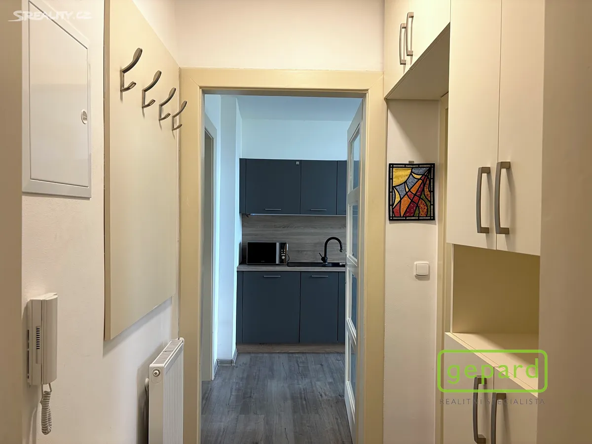 Pronájem bytu 2+1 60 m² - Widok 6