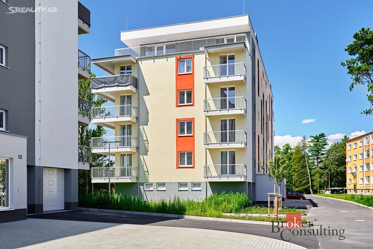 Pronájem bytu 1+kk 39 m², Nová Role