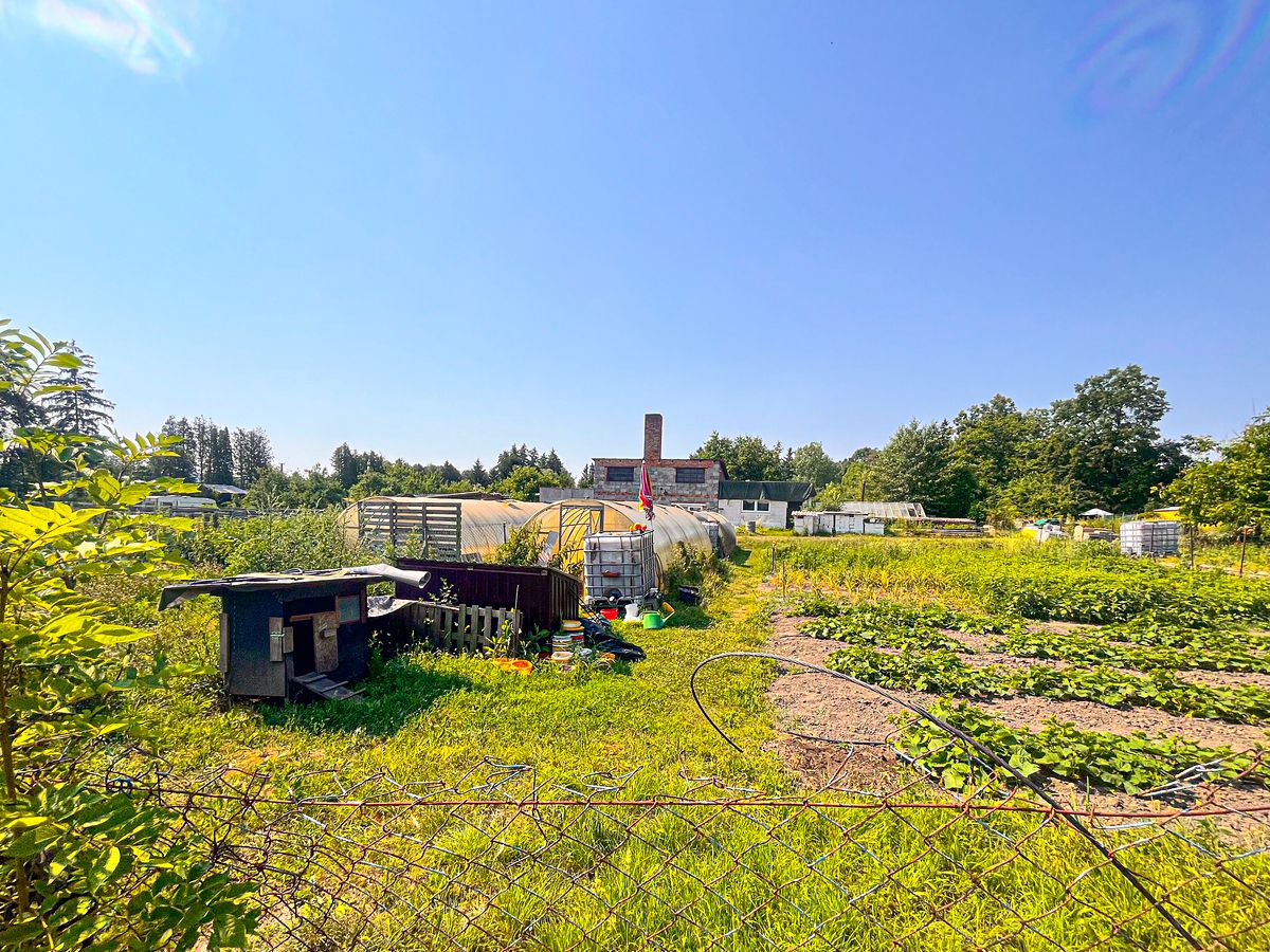 Pronájem zahrady 500 m² – fotografie 2