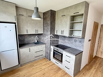Pronájem bytu 1+1 33 m²