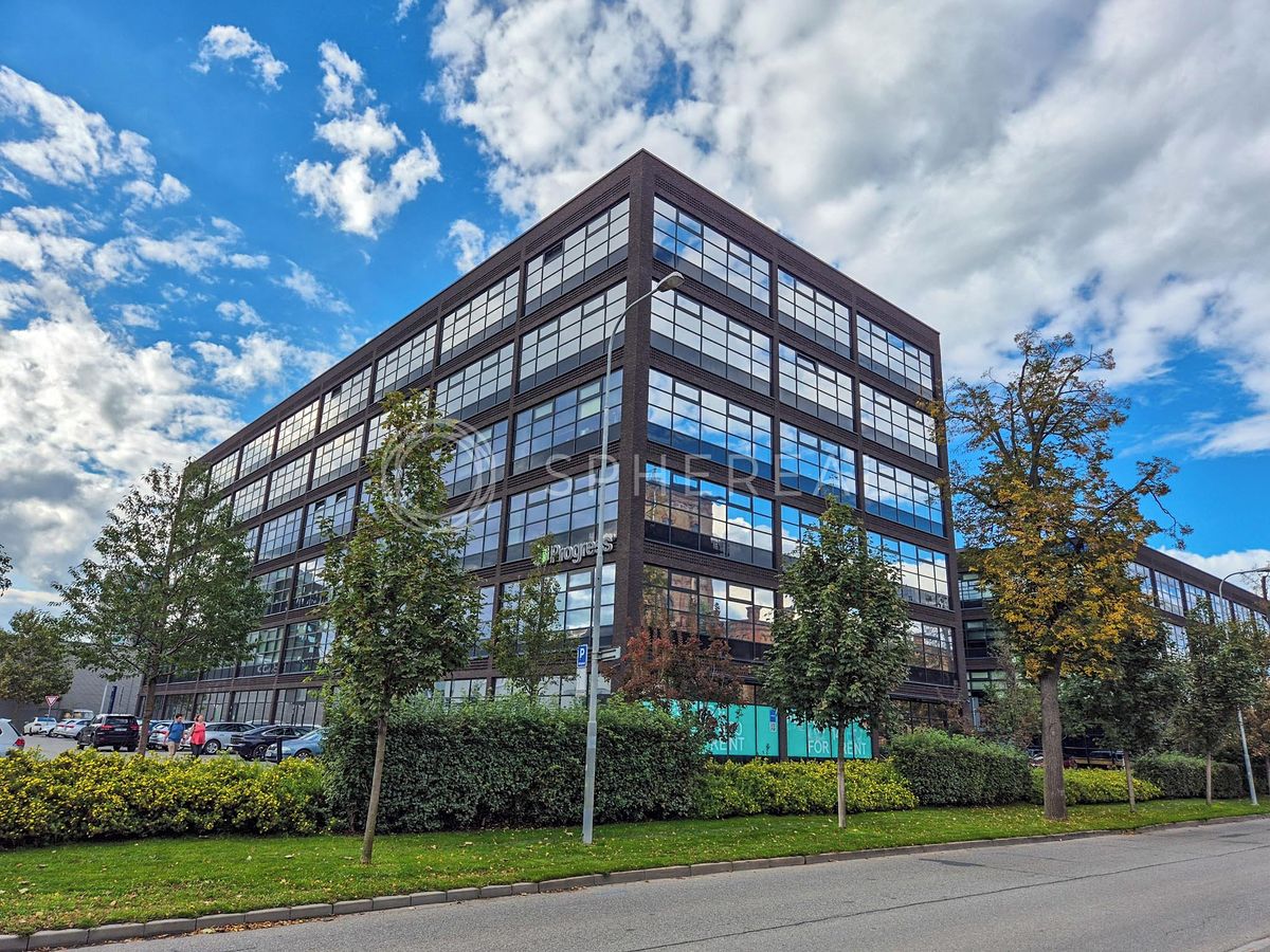 Pronájem kanceláře 1233 m²