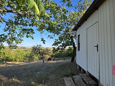 Prodej  zahrady 1 236 m²